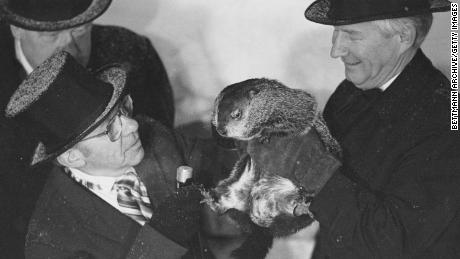 In 1985,  Punxsutawney Phil saw his shadow and predicted six more weeks of winter. Womp womp.