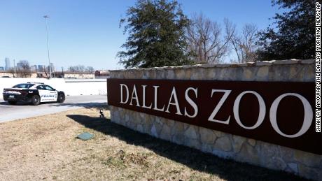 Suspect in missing Dallas Zoo tamarin monkeys case tampered with leopard, langur monkeys enclosures, police say
