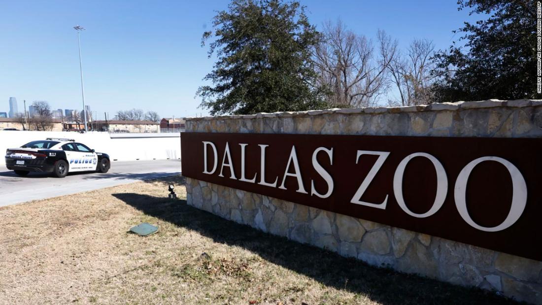 Suspect arrested in case of tamarin monkeys missing from Dallas Zoo, police say