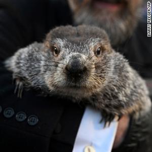 Punxsutawney Phil saw his shadow. Here's what that means