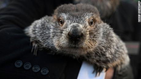 Punxsutawney Phil came outside for Groundhog Day. Here&#39;s how much longer winter might last