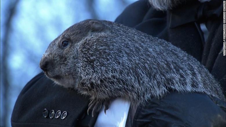 See what Punxsutawney Phil predicted on Groundhog Day