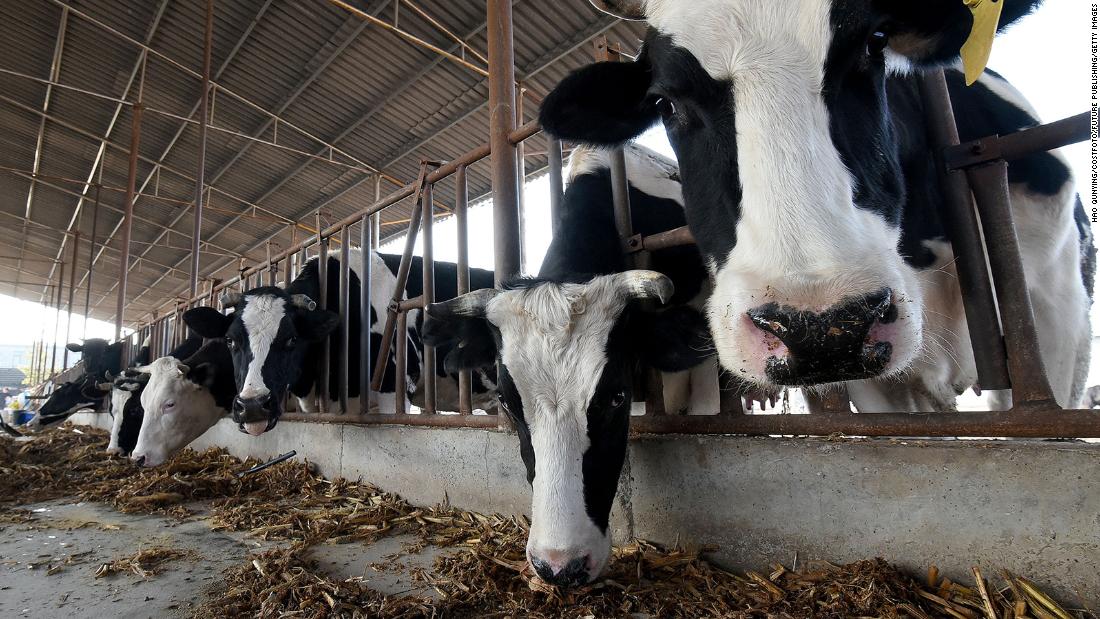 lcd screen made from cows made in china