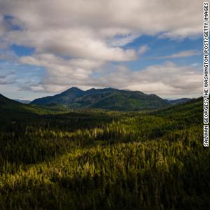 Biden administration restores protections for Alaska's Tongass forest