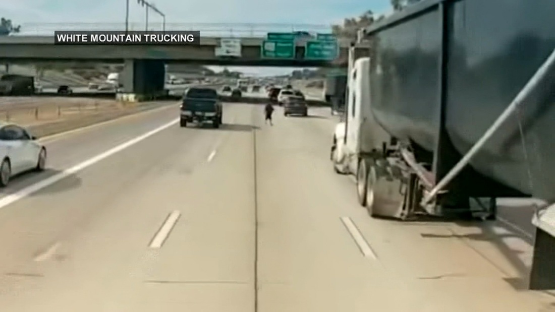 'Speechless': Trucking association chief reacts to video of jaywalker on I-10