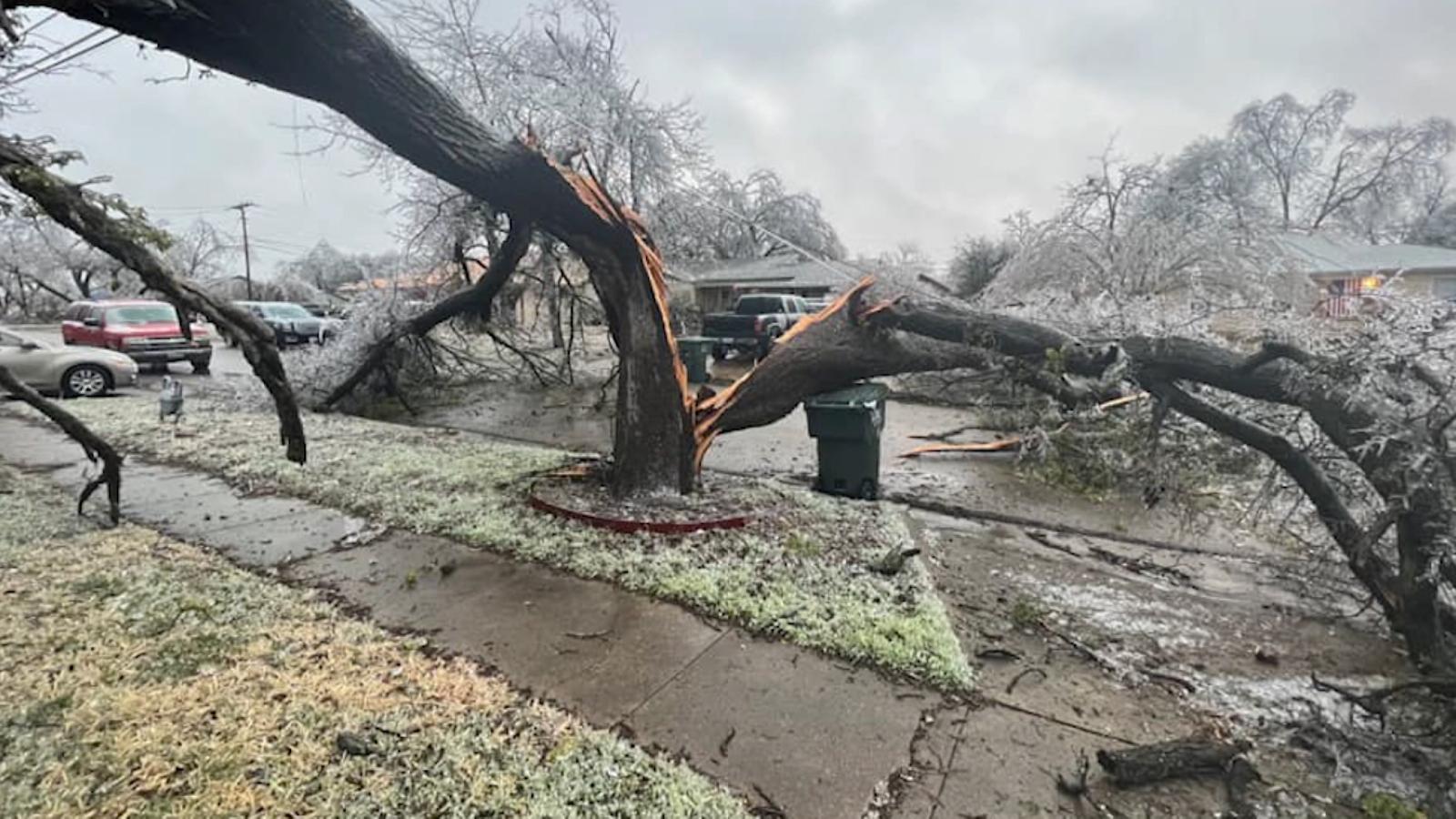 Tormenta de hielo en Texas deja destrucción y árboles derrumbados CNN