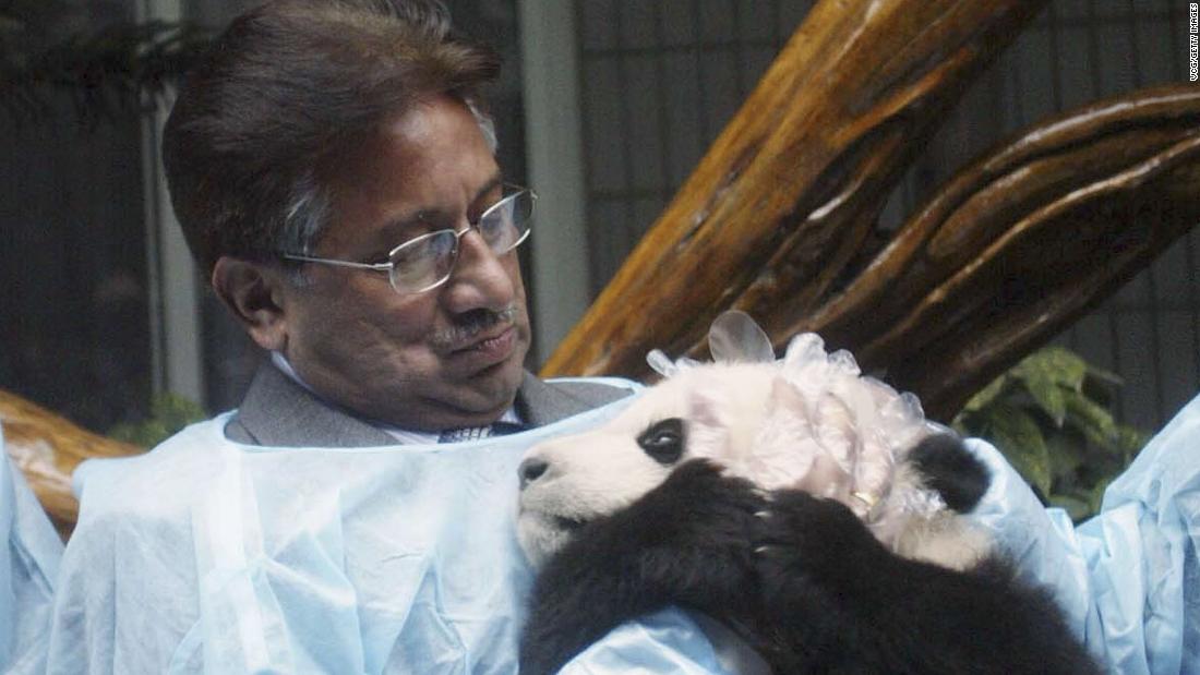 Musharraf holds a panda while visiting China in 2006.