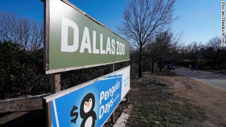 The Dallas Zoo sign welcomes visitors to the facility on February 3 in Dallas. The man suspected of stealing two tamarin monkeys from the zoo allegedly admitted to the crime, according to arrest warrant affidavits.