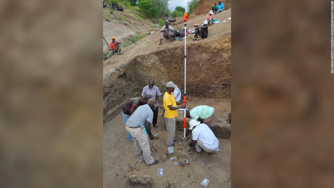 Who Made The First Stone Tools