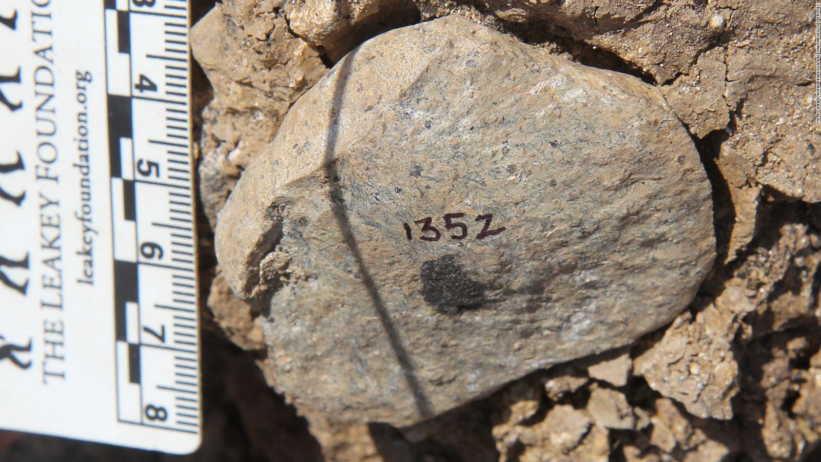 who-made-the-first-stone-tools-discovery-sheds-light-on-mystery-cnn