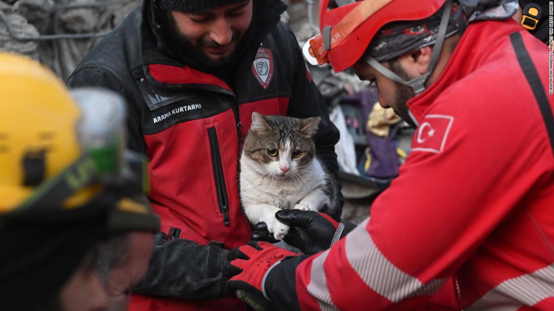 Search-and-rescue workers aid a cat that was rescued in Kahramanmaras on February 10.