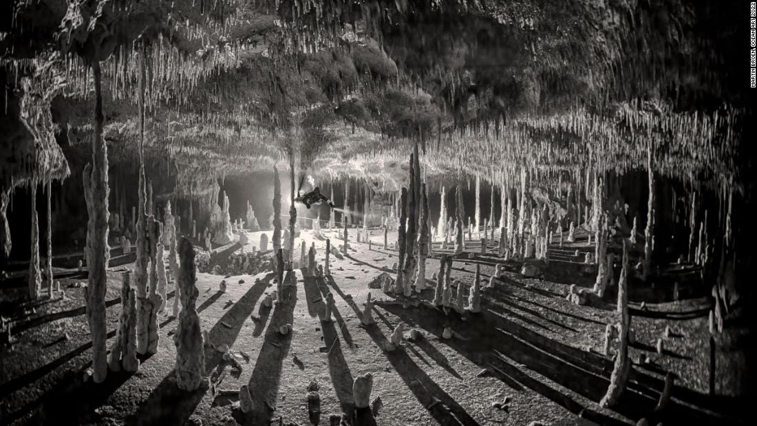 Martin Broen&#39;s atmospheric &quot;Long Shadows&quot; won first place in the Black and White category. The photo presents stalactites hanging from the roof of Cenote Dos Pisos, Mexico.