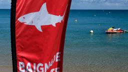 Serangan hiu: turis Australia tewas di Kaledonia Baru