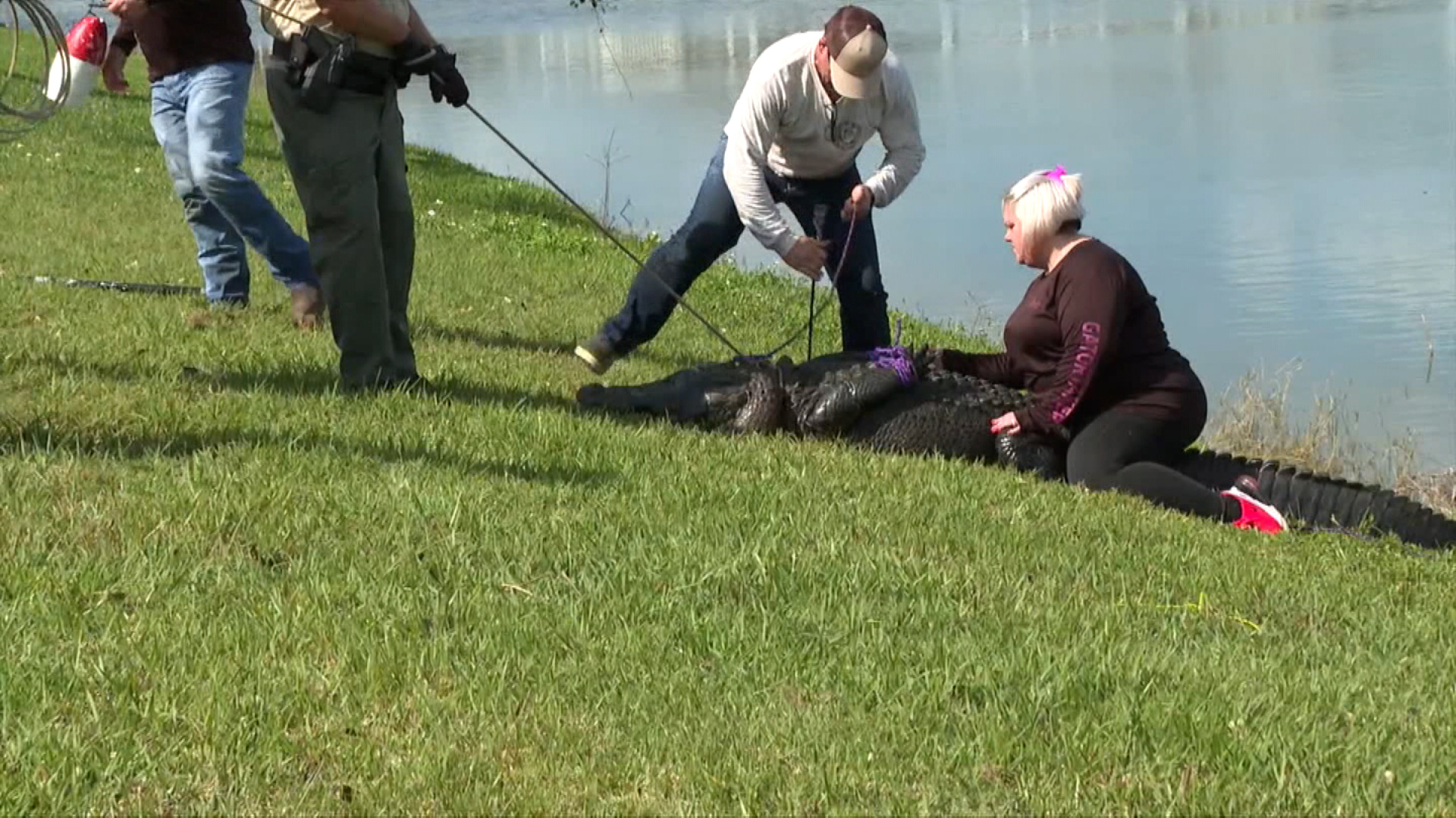 Una mujer de 85 años muere tras ser atacada por un caimán en Florida - CNN  Video