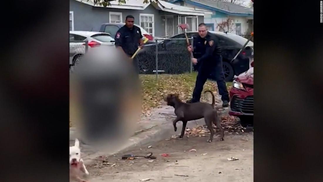 San Antonio dog attack leaves 81-year-old man dead, police say | CNN
