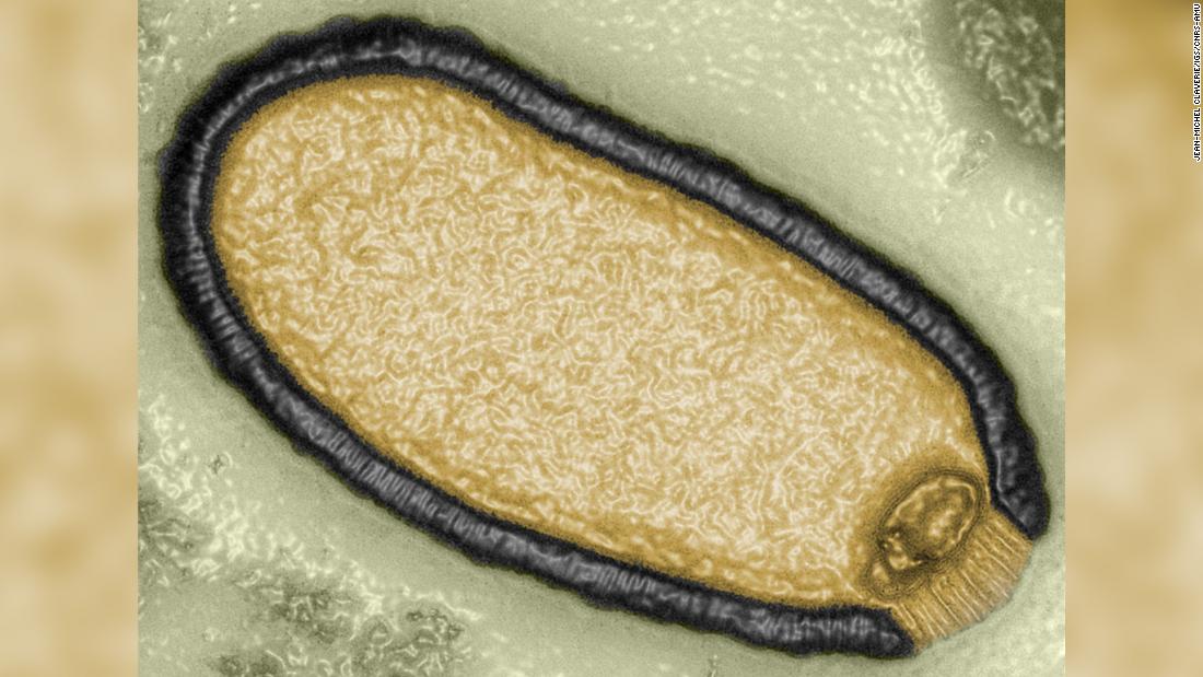 Gli scienziati hanno resuscitato un virus “zombie” che ha trascorso 48.500 anni nel permafrost