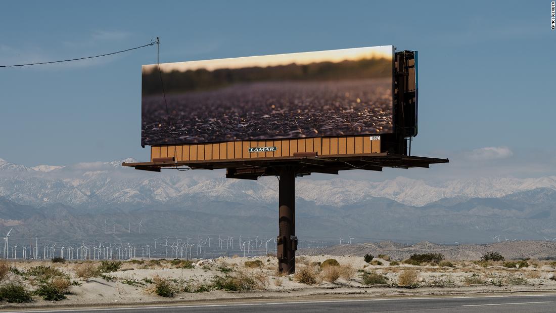 NextImg:Desert X: Monumental new artworks rise in Coachella Valley