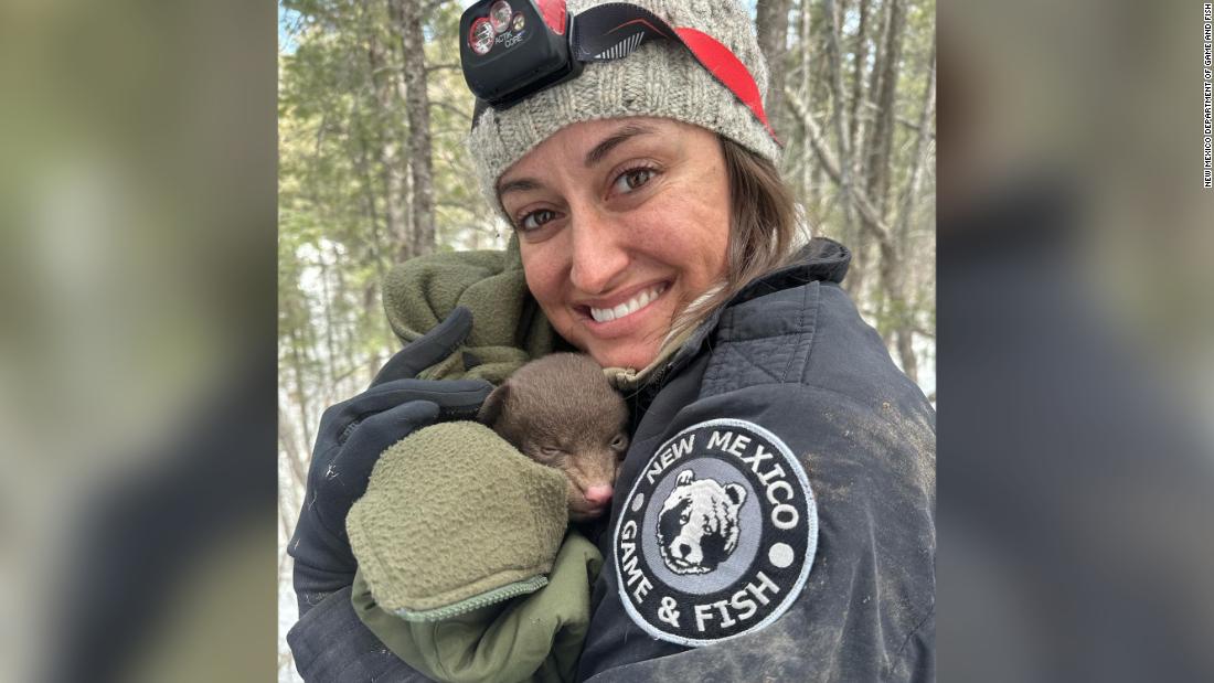 New Mexico Game and Fish is now hiring 'professional bear huggers'