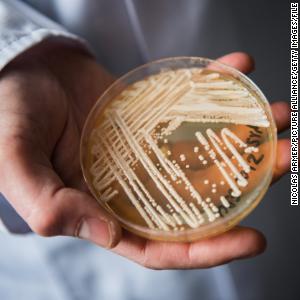 Emerging fungal threat spread at alarming rate in US health care facilities, study says