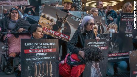 Protesters put pressure on Nike to end its use of kangaroo leather during an Animal Justice Party protest outside the company&#39;s George Street store in Sydney last July. 