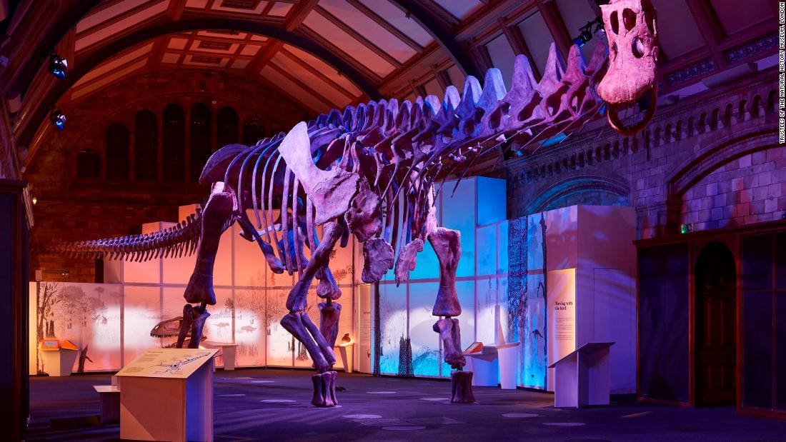 从一只巨型恐龙参观伦敦自然历史博物馆