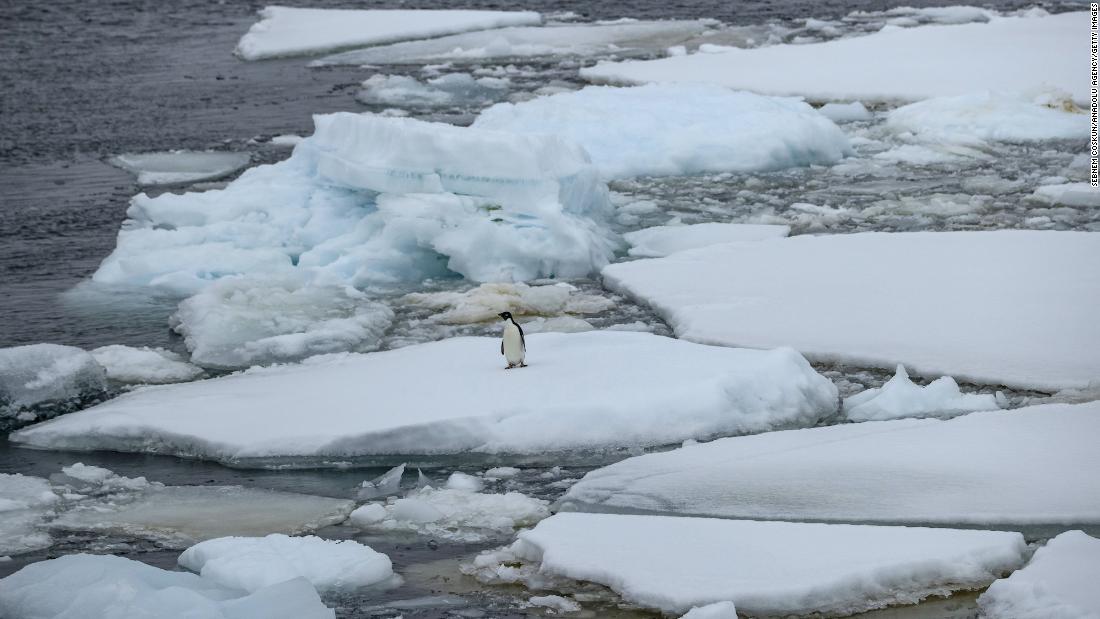 वैज्ञानिकों ने चेतावनी दी है कि अगर वार्मिंग ग्रह से प्रदूषण अधिक रहता है तो महत्वपूर्ण अंटार्कटिक महासागर संचलन ध्वस्त होने की ओर अग्रसर है।
