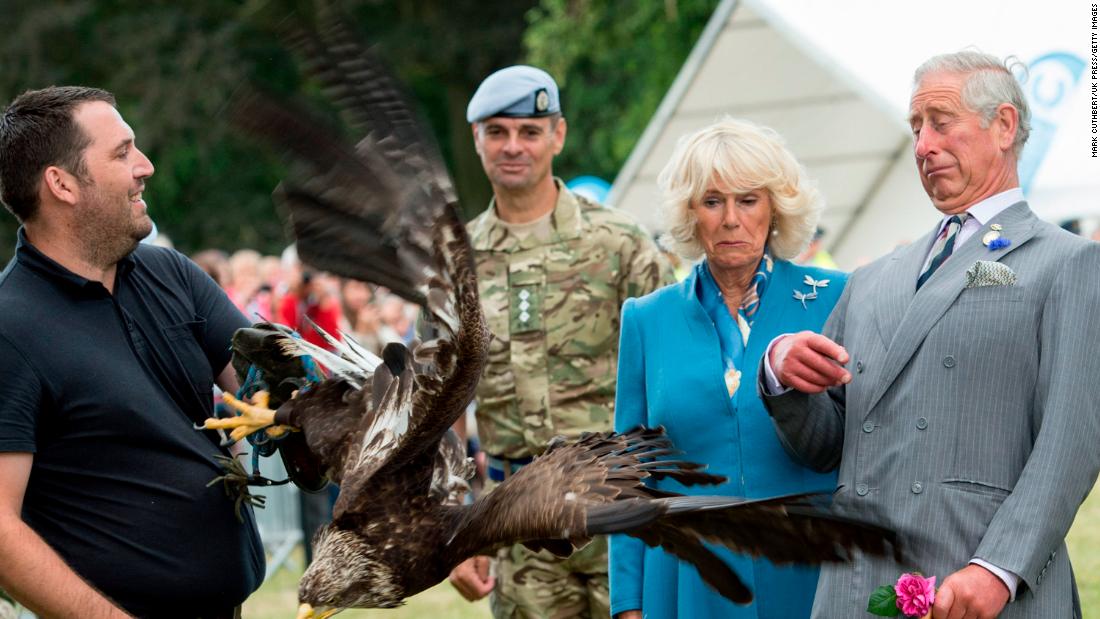 Prince Charles reacts to a bald eagle as it flaps its wings during the Sandringham Flower Show in July 2015.