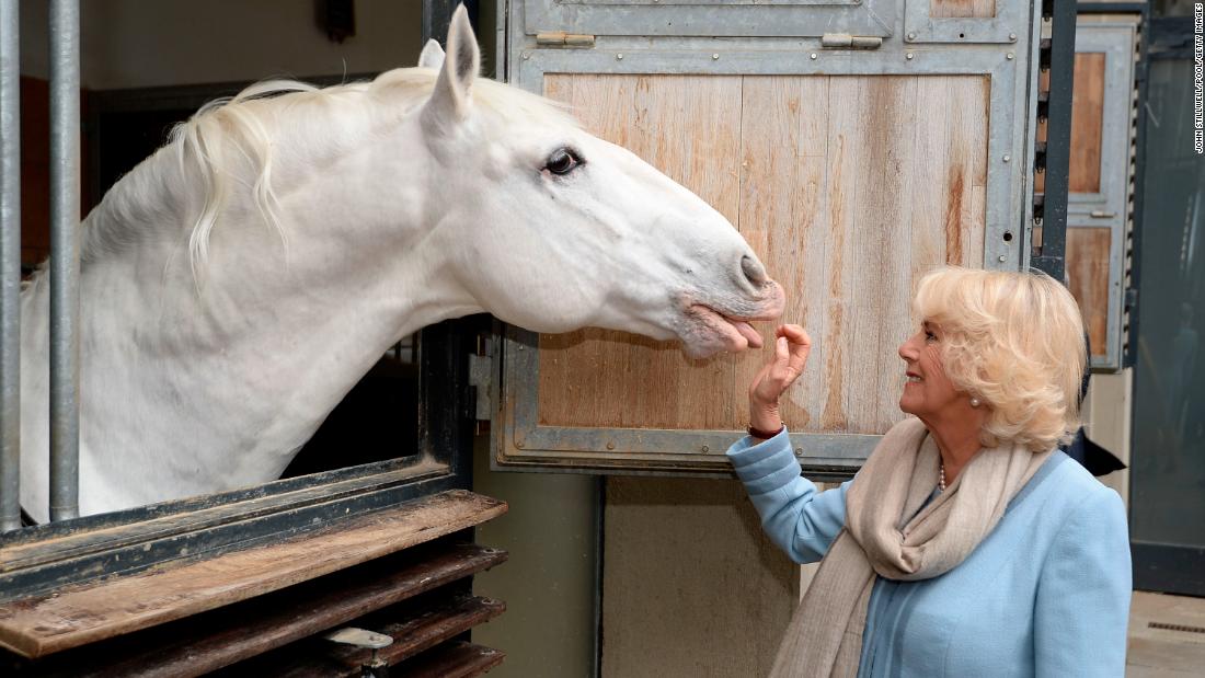 Camilla spends time with horses during a visit to a riding school in Vienna, Austria, in April 2017. It was part of a nine-day tour of Europe.