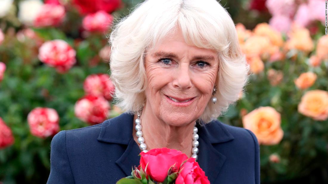 Camilla attends the Sandringham Flower Show in July 2017.