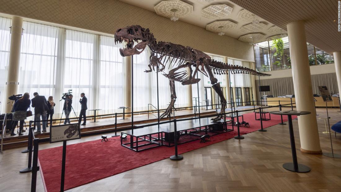 Rare T-Rex skeleton to go under the hammer in Switzerland