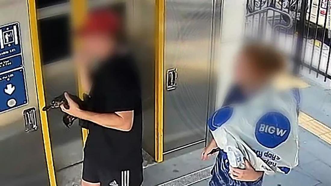 Vádat emeltek egy férfi ellen, miután a vadonból vonatra szállítottak egy kacsacsőrűt Ausztráliában