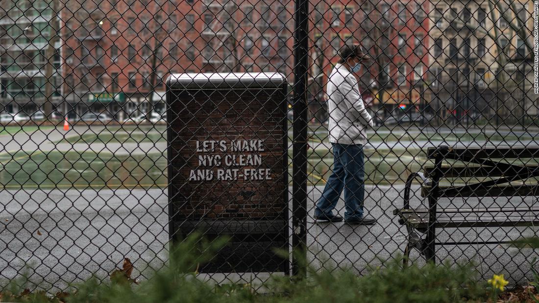 New York City appoints its first-ever 'rat czar'