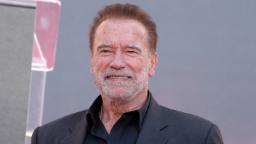 Arnold Schwarzenegger menamatkan lubang kejiranan