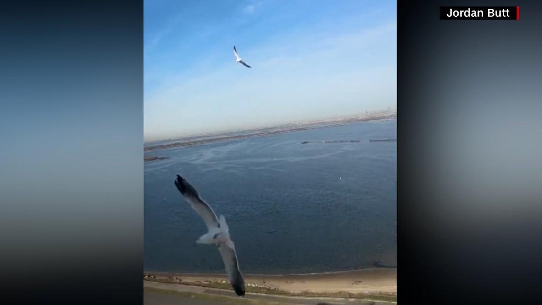 Pasajero graba el instante en que un pájaro choca contra una turbina ...