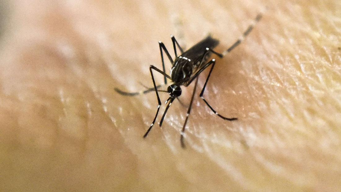 Argentina Aprueba El Uso De Una Vacuna Contra El Dengue Cnn Video 5213