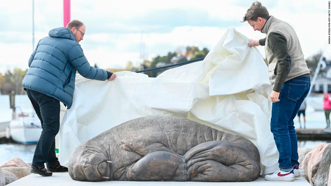 Freya the Walrus: Norway unveils a statue of a euthanized walrus in Oslo