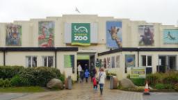 230430145716 blackpool zoo file 2017 restricted hp video Blackpool Zoo takes seagull deterrence into its own hands by recruiting people to dress in animal costumes