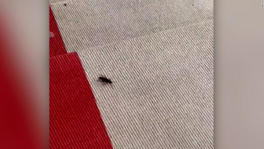 Cucaracha, la inesperada invitada en la alfombra de la Met Gala 2023