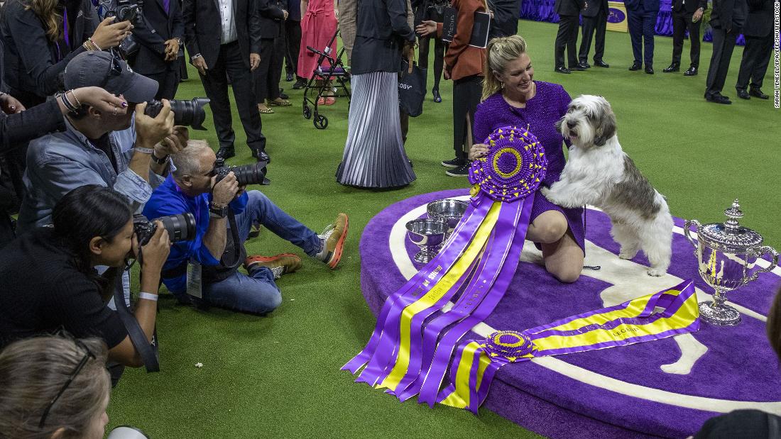 Buddy Holly, the petit basset griffon Vendéen, poses with his handler, Janice Hayes, after winning best in show at the Westminster Kennel Club Dog Show on Tuesday, May 9.