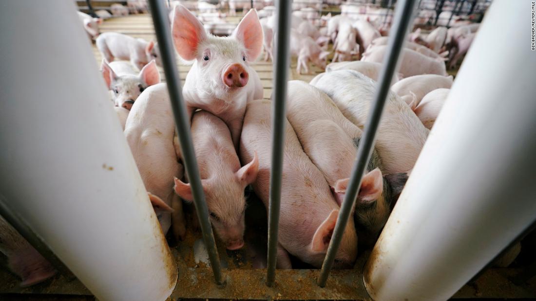 NextImg:Supreme Court upholds California pork regulations