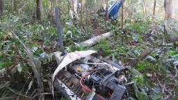 How could four children survive a plane crash in the Amazon? A new report offers clues
