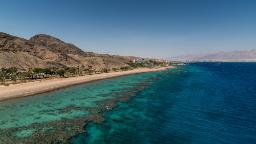 Bulu babi hitam telah menghilang dari Teluk Aqaba.  Kehilangan mereka bisa membunuh seluruh terumbu karang