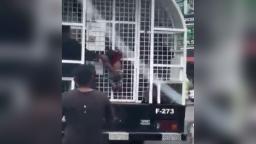 230605175836 dominican republic infant hanging from truck hp video Dominican Republic: Child hanging from migration enforcement truck sparks outrage