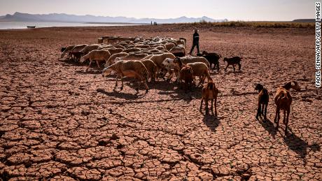 Cracked earth at al-Massira dam in Ouled Essi Masseoud village, Morocco, on August 8, 2022, amid the country&#39;s worst drought in at least four decades.