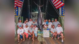 Fishing crew misses out on $3 million prize after 619-pound blue marlin disqualified because of ‘mutilation’