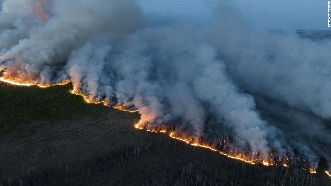Wildfires burn in British Columbia in this aerial photo released by the BC Wildfire Service on June 9.