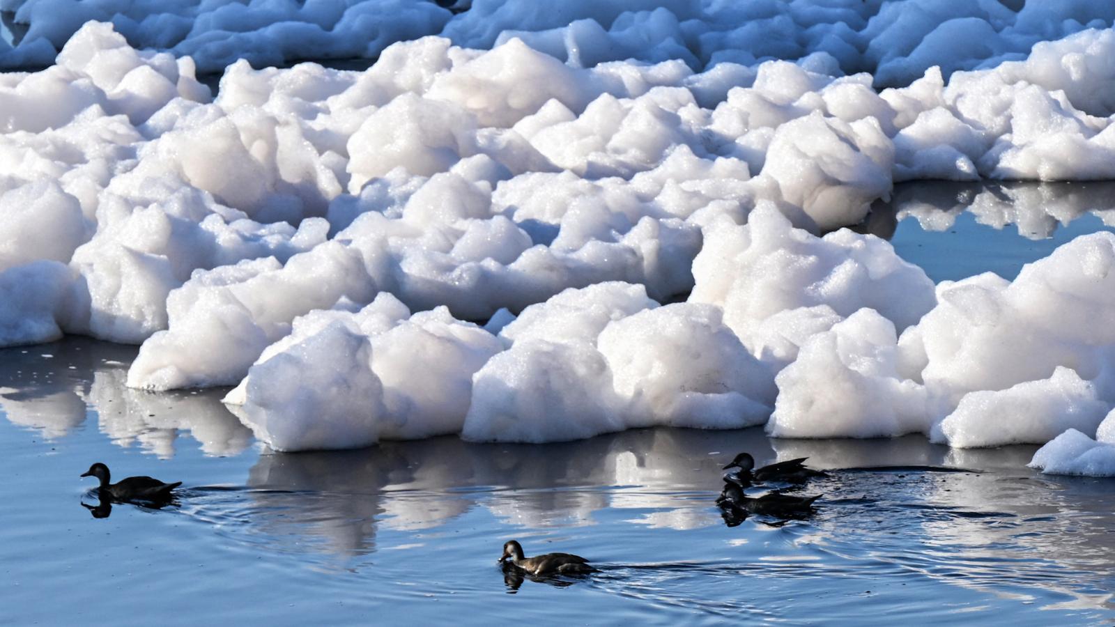 Este río en Brasil está tan contaminado que ahora tiene una capa de ...