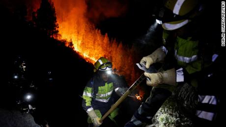 Forest firefighters work during to extinguish a forest fire in Arafo on the island of Tenerife, Canary Islands, Spain August 16, 2023. 
