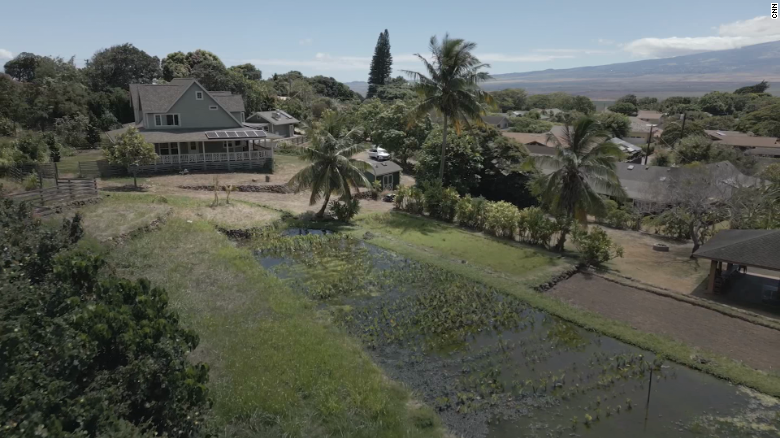 Unveiling Maui&#39;s water conflict in wake of wildfires