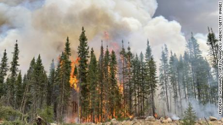 Weather that drove eastern Canada&#39;s devastating wildfires made twice as likely by climate change